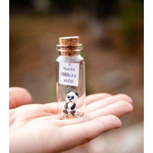 Cute wife gift Panda bear gift for wife Small present for wife from husband Panda gifts to my wife Funny for best wife Collectibles panda