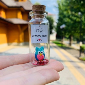 Funny Owl Gift For Boyfriend, Cute Anniversary Gift For Girlfriend, Owl Lover Gift, Exquisite Gift For Her