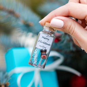 Merry Christmas Boyfriend Gift, Best Friend Gift, Miniature Deer Christmas gift for her, Wish jar, Sister Gift, Girlfriend Gift