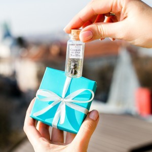 New Home Gift for Cat Lovers, Best Friend Moving Gift, Real Estate, Cute Desk Decor, Gift for Pet Lover, Happy New House, Pet Gift