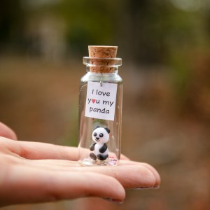 I love you Panda bear gifts Valentines Day gift for her Cute animal gift for boyfriend Funny gift for panda lovers Panda gift for girlfriend