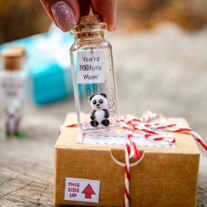 Mama Bear Birthday gift for Mother From Daughter Cute Panda Gift For Mom From Son Personalized Grandmother gift Stepmom Present Animal Lover