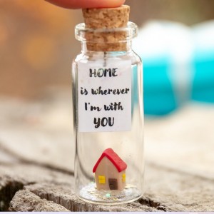 Valentines Day Gift for Wife or Husband Meaningful Gift for Boyfriend or Girlfriend Miniature House and Message in a Bottle Romantic Present