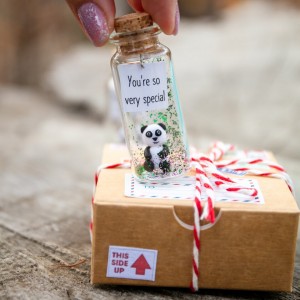 You are special Panda bear gift for her Animal lovers gift Unique gift for daughter Granddaughter present Gift for niece Wish jar