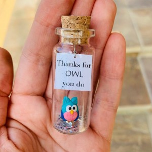 Owl lover gift | Custom teacher appreciation gift | Personalised message in a bottle | Sympathy owl present for men